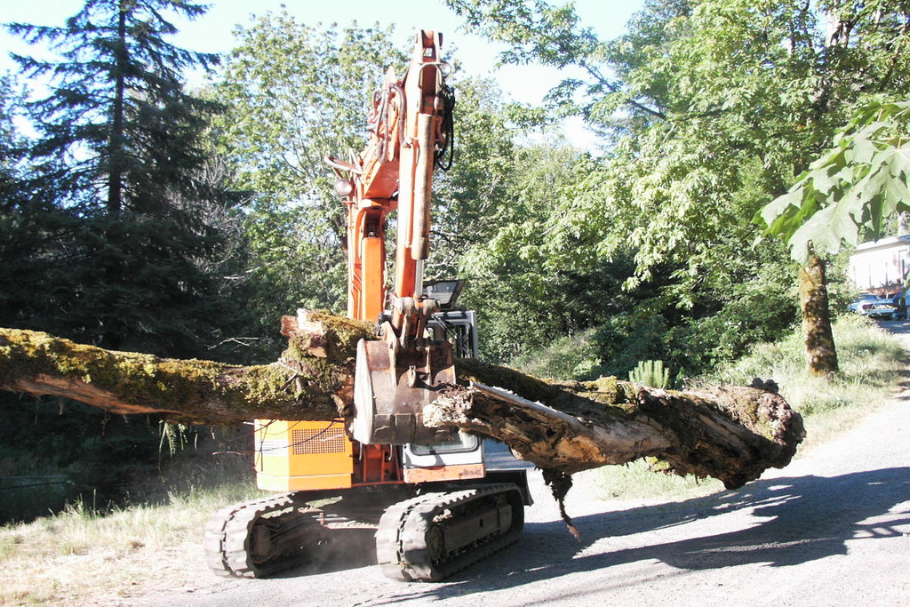 HT1035 hydraulic thumb inst alled on an excavator with a purple bucket