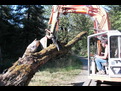 HT1035 hydraulic excavator thumb installed on an excavator