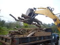 MT1035 excavator thumb putting logs into a dump truck