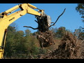 mt830 mini excavator thumb 39