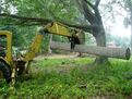 A log is being picked up by this MT830 mini excavator thumb.