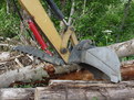 HT830 mini hydraulic excavator thumb extended, getting ready to grasp a log.