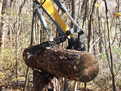 ht830 mini excavator thumb picking up a log