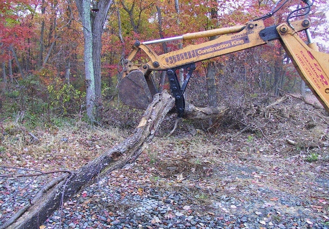 MT1035 thumb moving a large tree