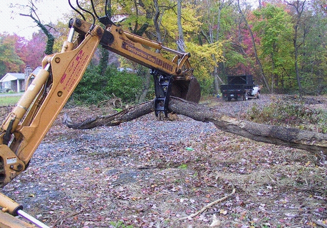 Another view of a tree in the grasp of the MT1035 thumb