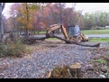 MT1035 thumb grasping a large log