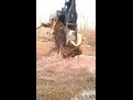 excavator backhoe thumb 35