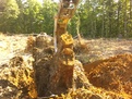 tree stumper for excavators 24k 39k 7