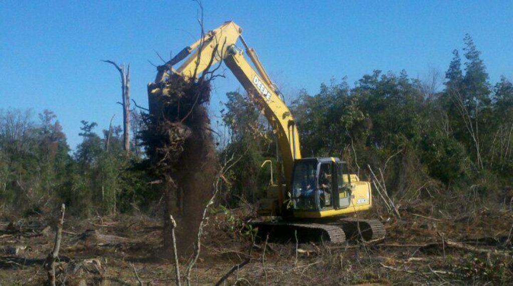 Excavator tree stumper for 40 50k machine 13