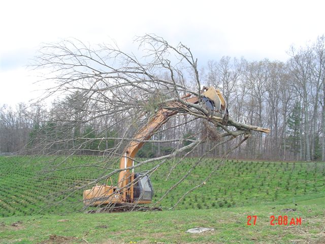 Excavator tree stumper for 40 50k machine 5