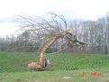 excavator tree stumper for 40 50k machine 5
